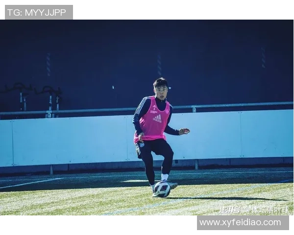 安郅与苏维埃翼的精彩对决揭示足球战术与团队协作的魅力与挑战