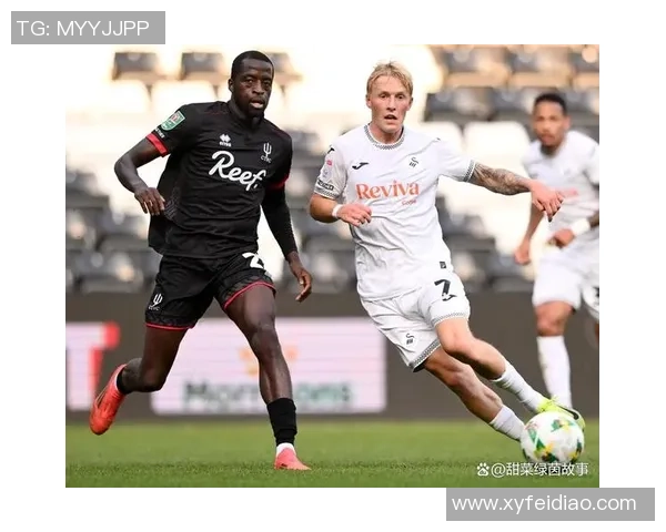 斯旺西主场迎战谢菲尔德全力争胜展现球队实力与决心